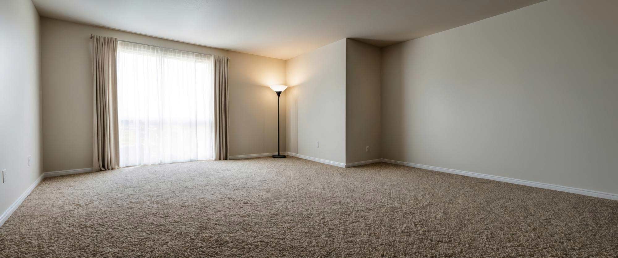 Move in out cleaning Howard County