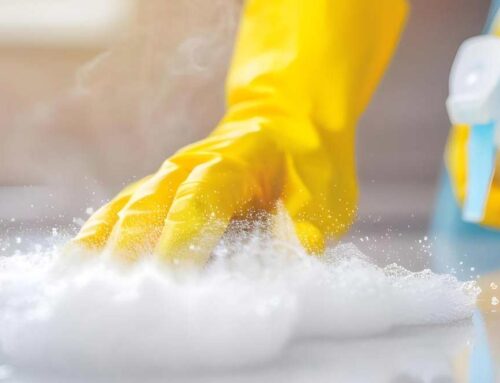 Preparing Your Home for a New Pet: Room by Room Cleaning Guide